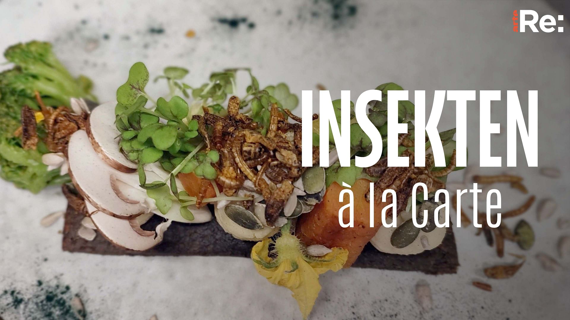 Re: Insekten à la Carte - Frankreichs Nouvelle Cuisine