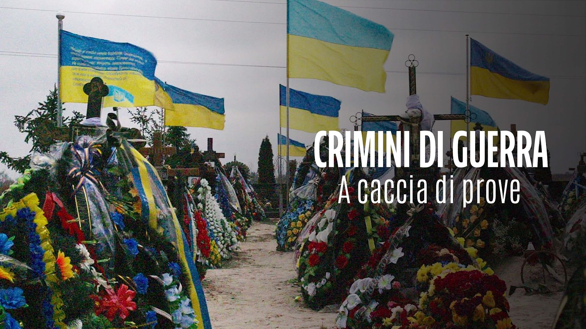 Re: sguardi sulla società - Ucraina: le prove dei crimini di guerra