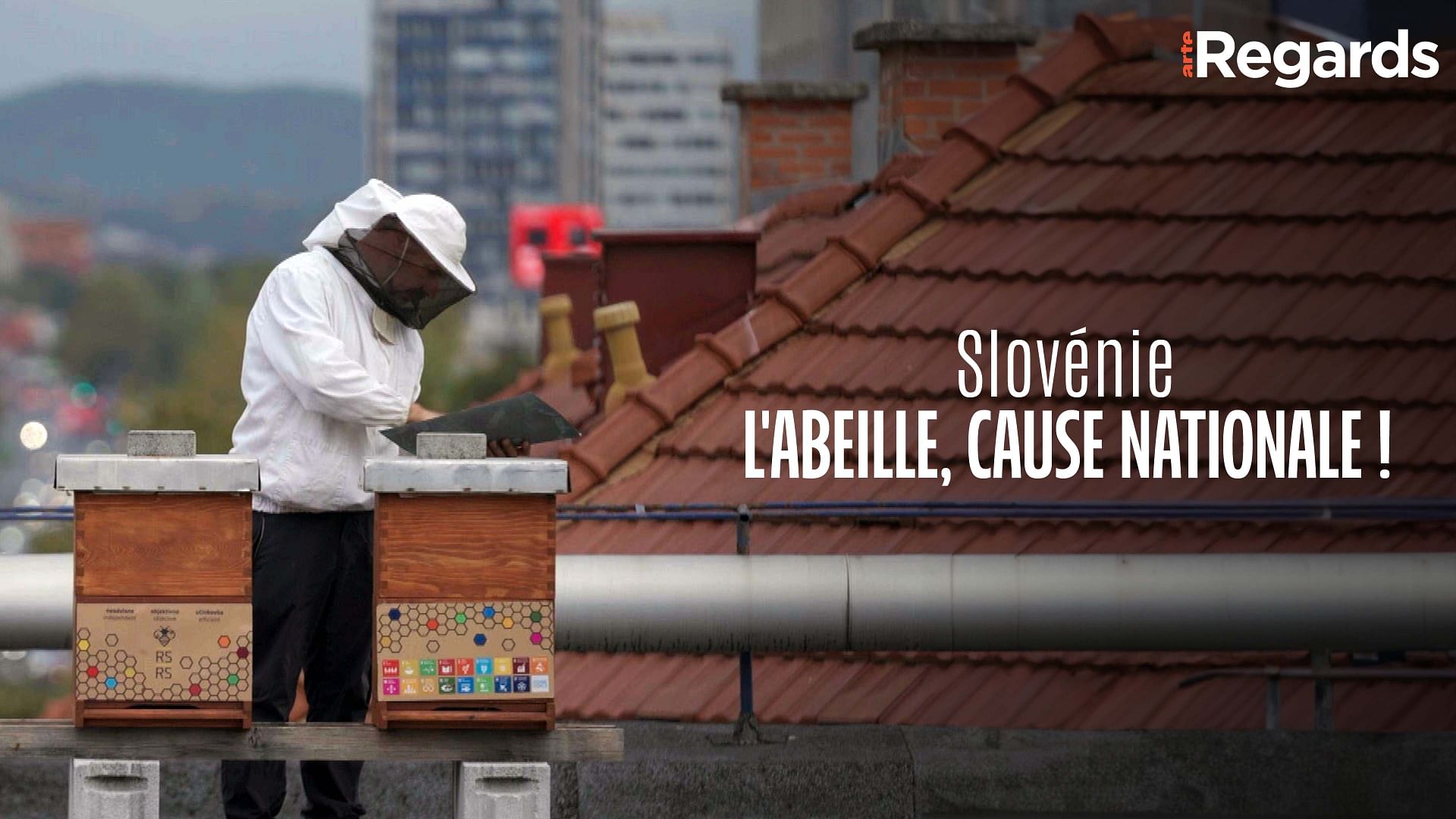 ARTE Regards - Slovénie : l'abeille, cause nationale !