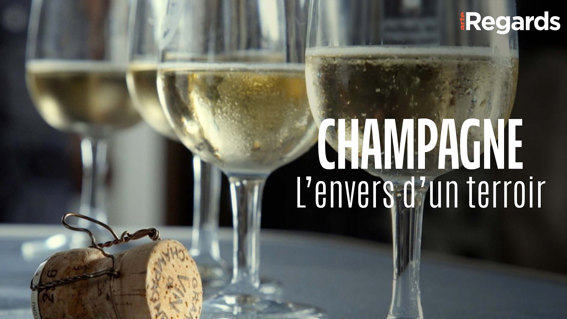 ARTE Regards - Champagne, l’envers d’un terroir