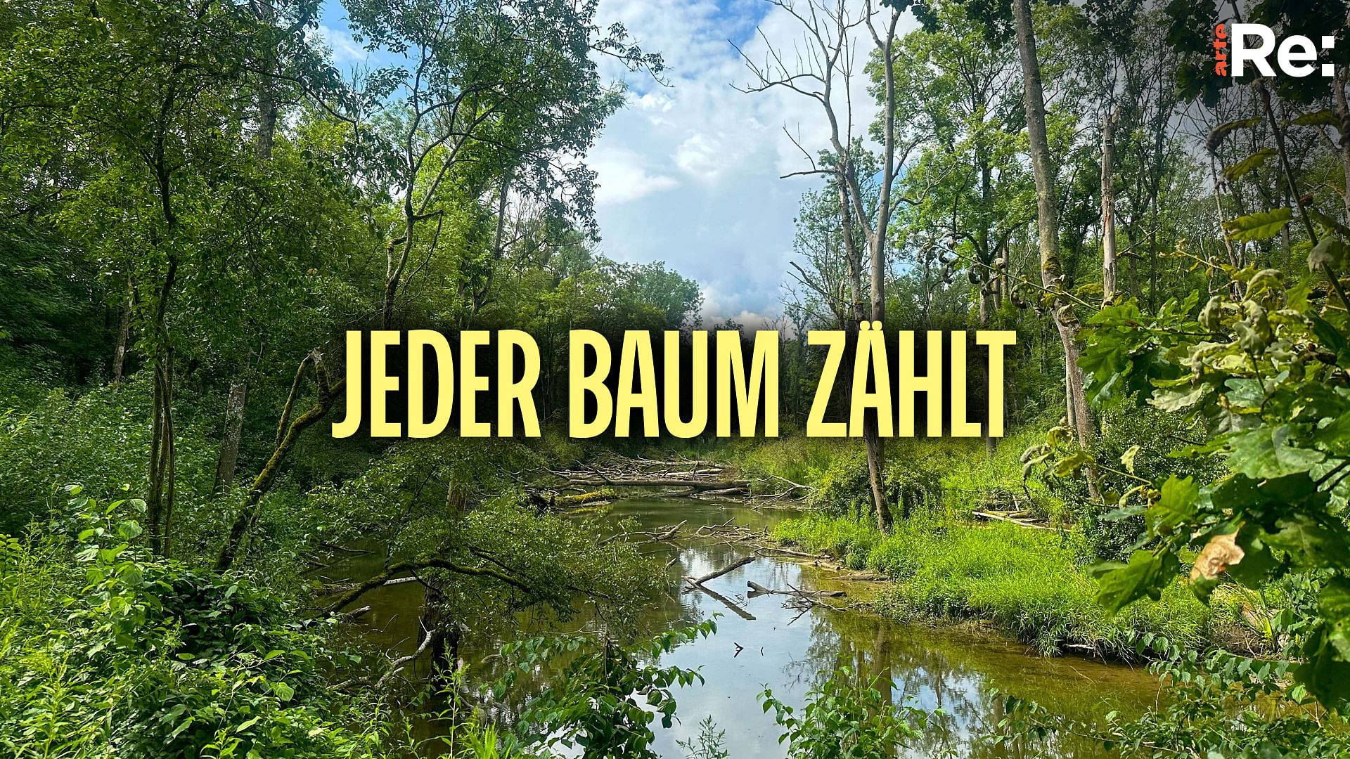 Re: Jeder Baum zählt