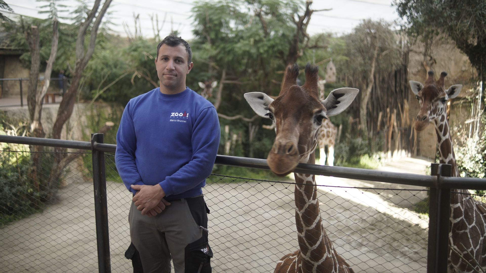 Re: Zu viele Tiere im Zoo - Wie geht moderner Artenschutz?