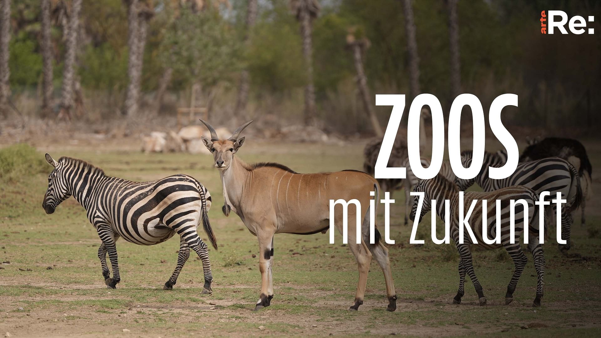 Re: Zoos mit Zukunft