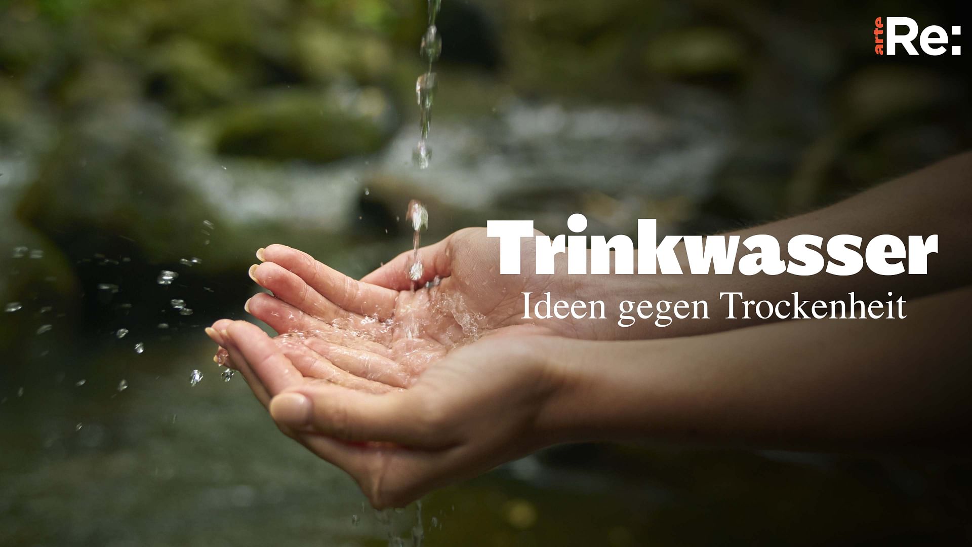 Re: Ressource Trinkwasser - Neue Ideen gegen Trockenheit