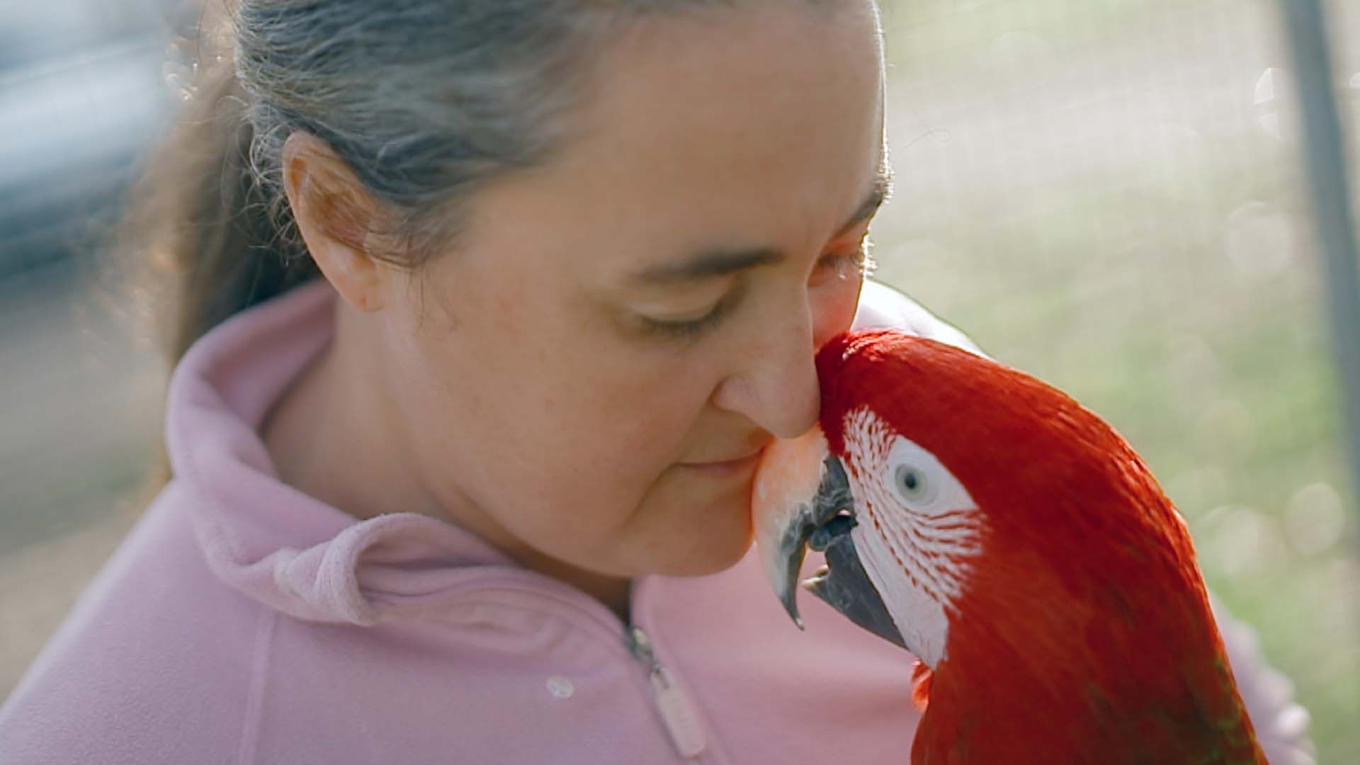 Re: sguardi sulla società - La seconda vita degli animali maltrattati