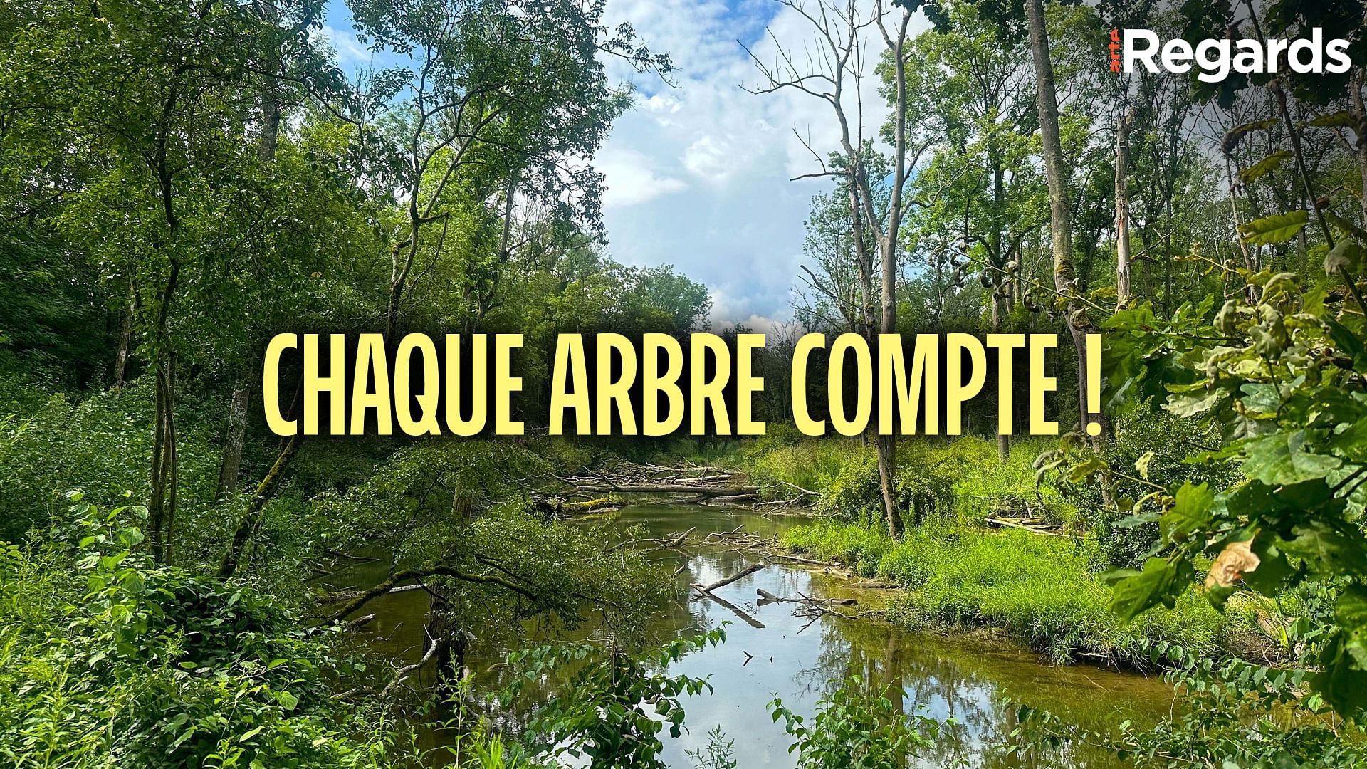 ARTE Regards - Chaque arbre compte !