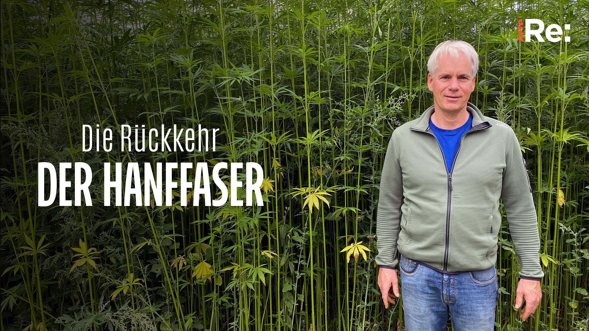 Re: Die Rückkehr der Hanffaser