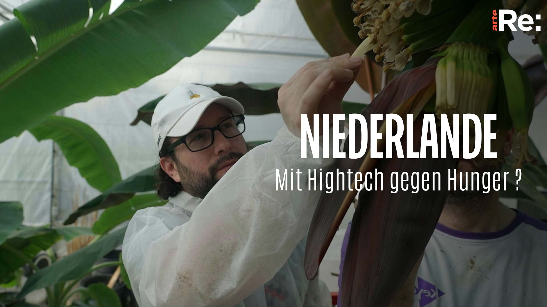 Re: Mit Hightech gegen Hunger - Niederlande denken Pflanzen neu