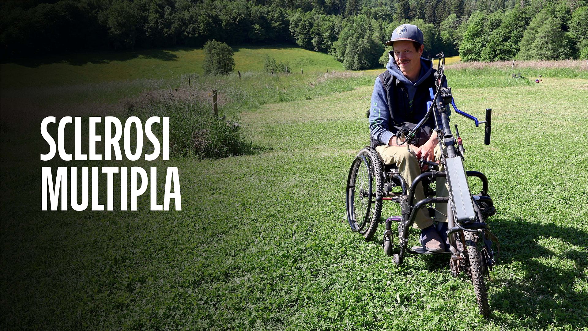 Re: sguardi sulla società - Sclerosi multipla
