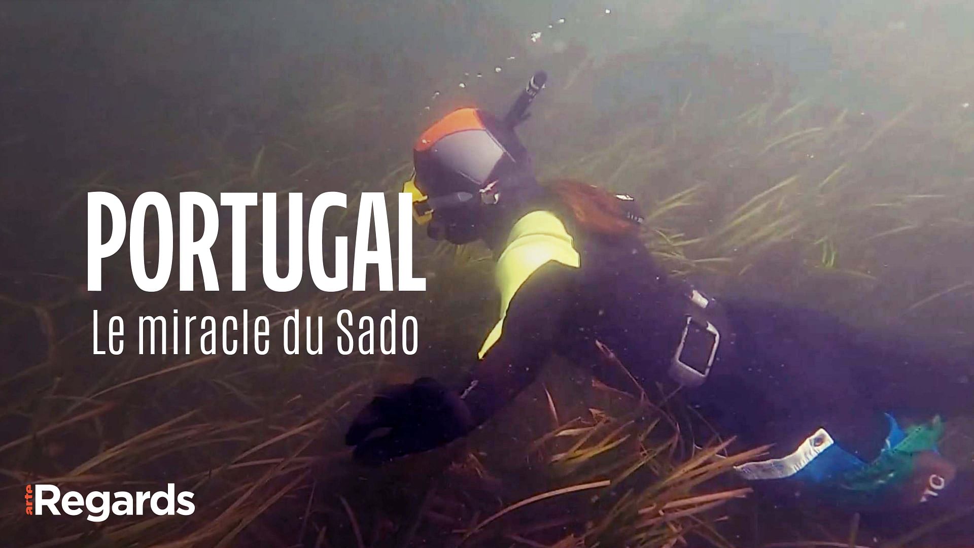 ARTE Regards - Portugal : le miracle du Sado