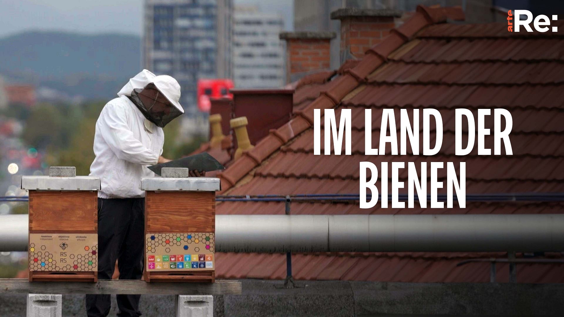 Re: Im Land der Bienen