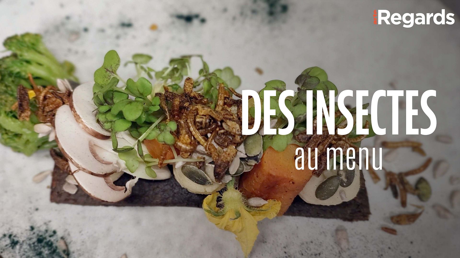 ARTE Regards - Des insectes au menu