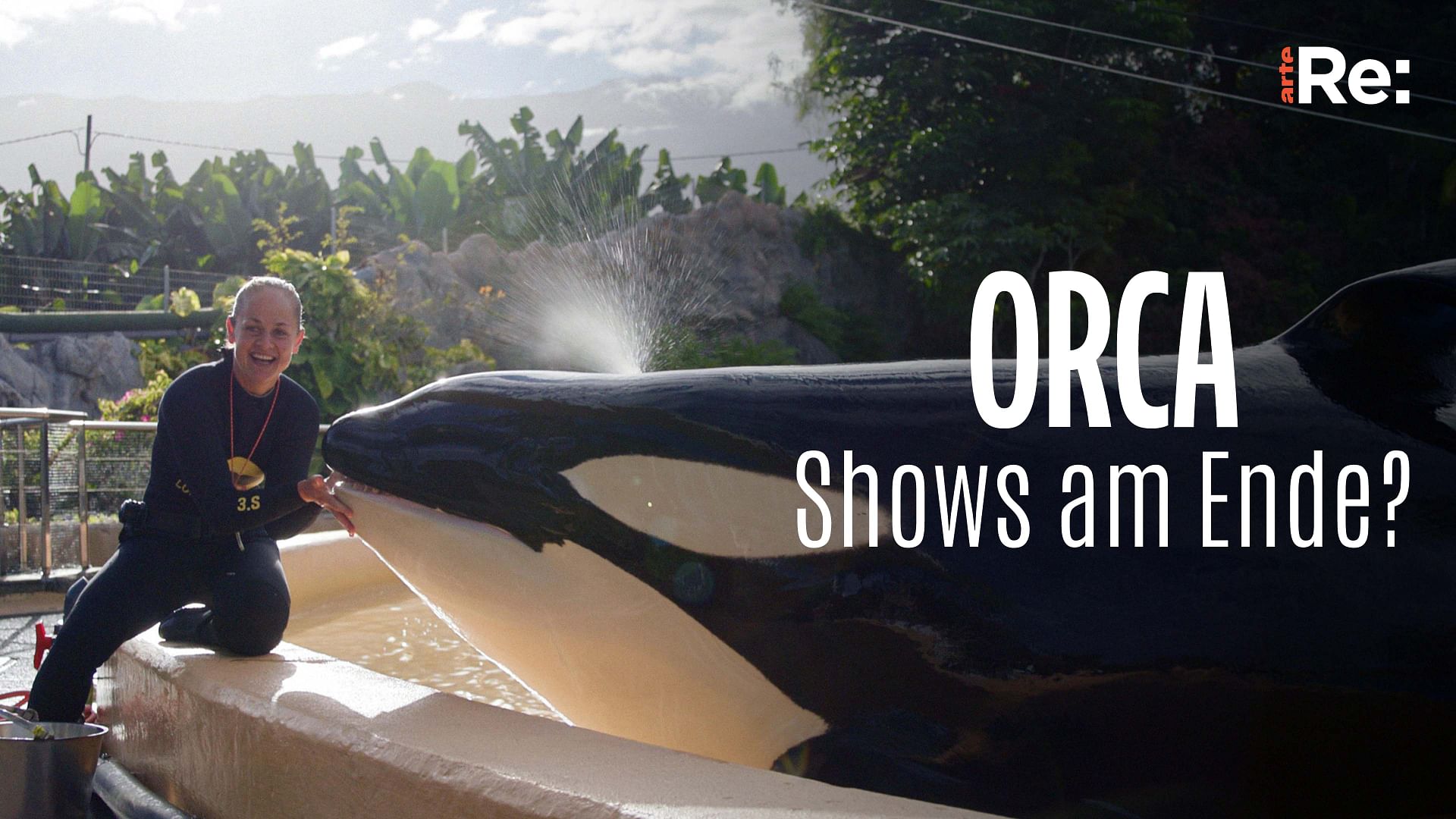 Re: Orca-Shows am Ende?