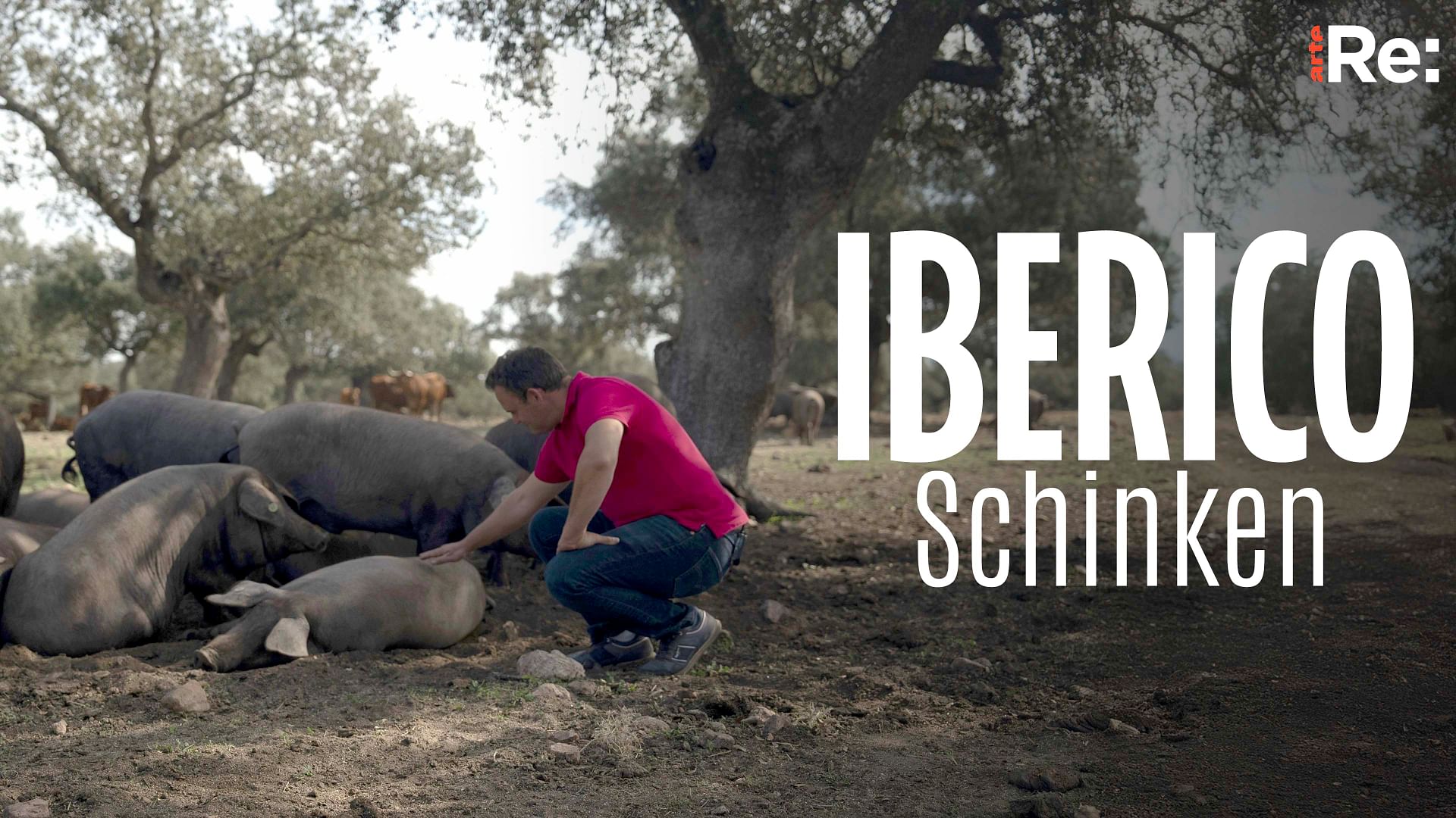 Re: Iberico-Schinken - Spaniens Nationalheiligtum