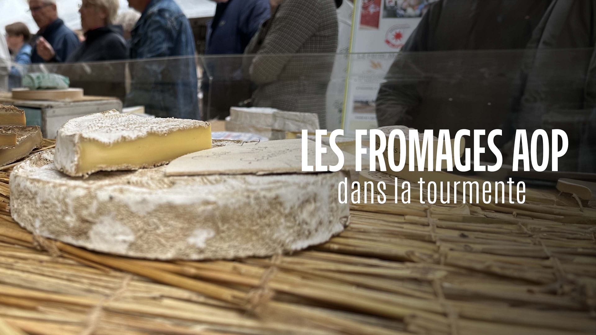 ARTE Regards - Les fromages AOP dans la tourmente