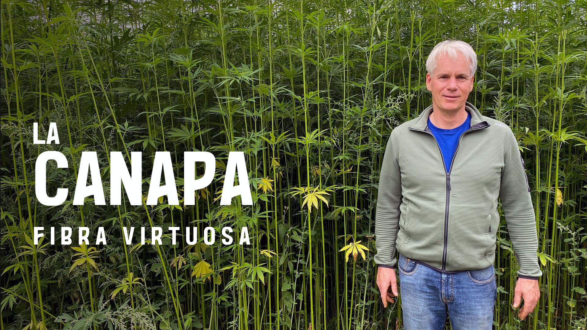Re: sguardi sulla società - La canapa, fibra virtuosa