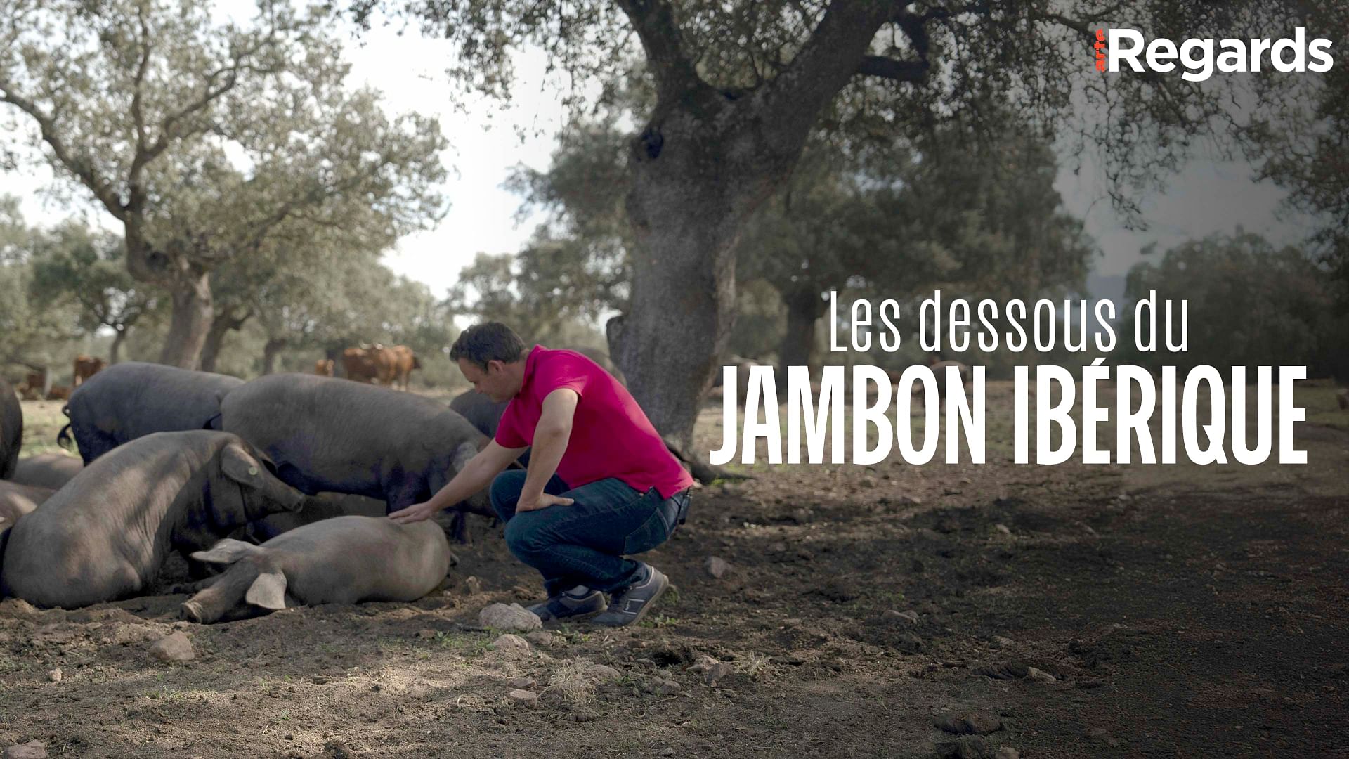 ARTE Regards - Les dessous du jambon ibérique