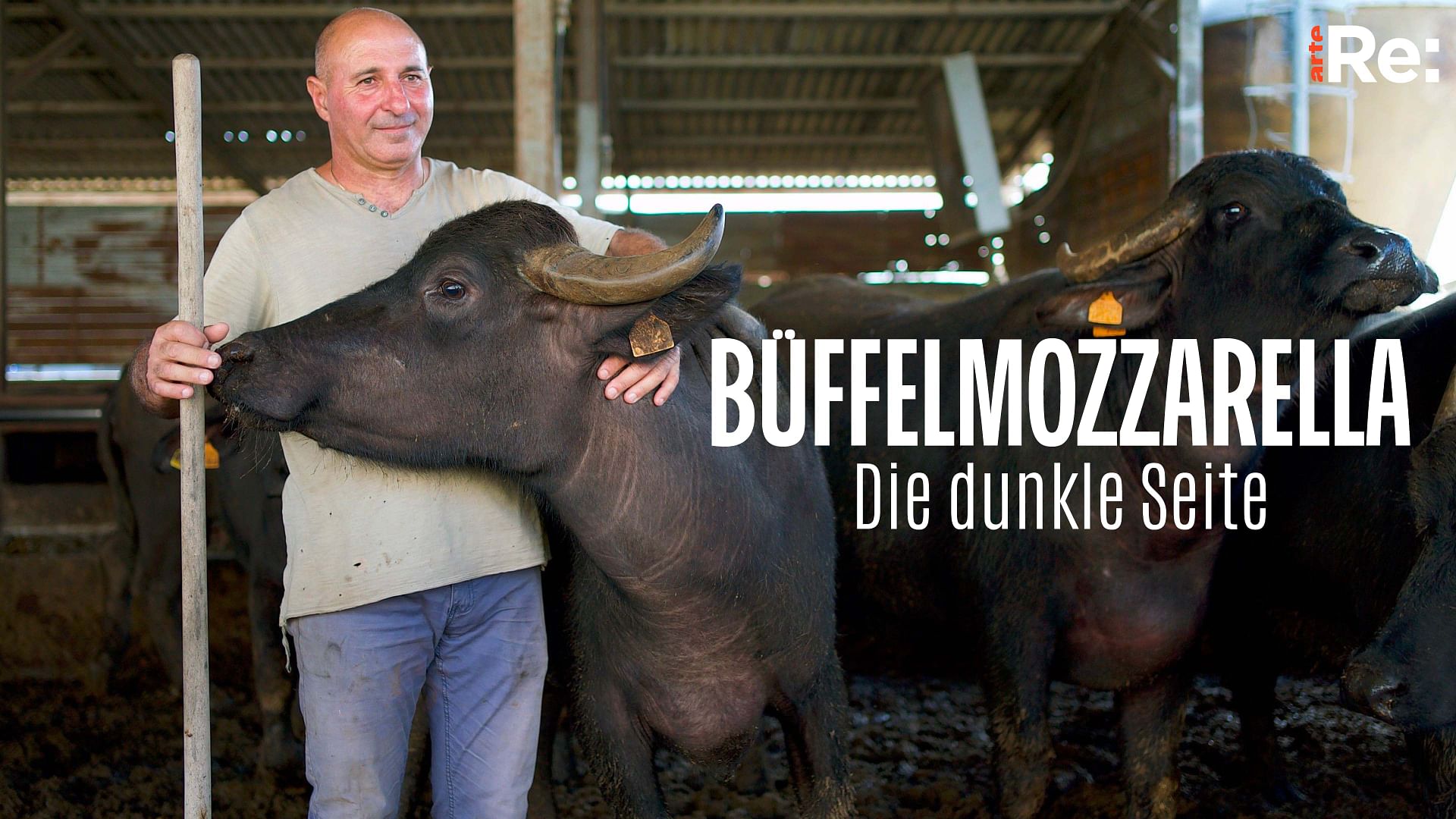 Re: Büffelmozzarella aus Italien - Die dunkle Seite der Delikatesse
