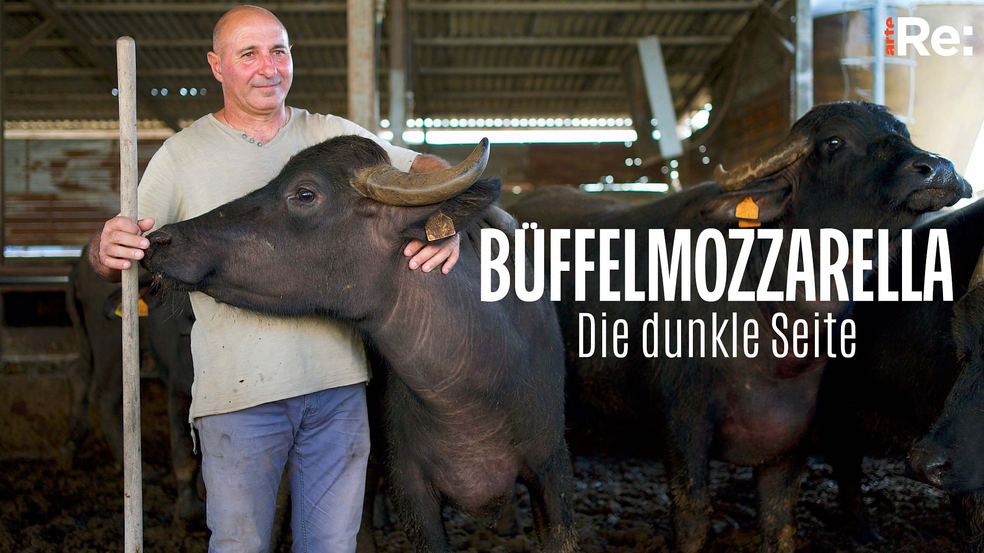 Re: Büffelmozzarella aus Italien - Die dunkle Seite der Delikatesse