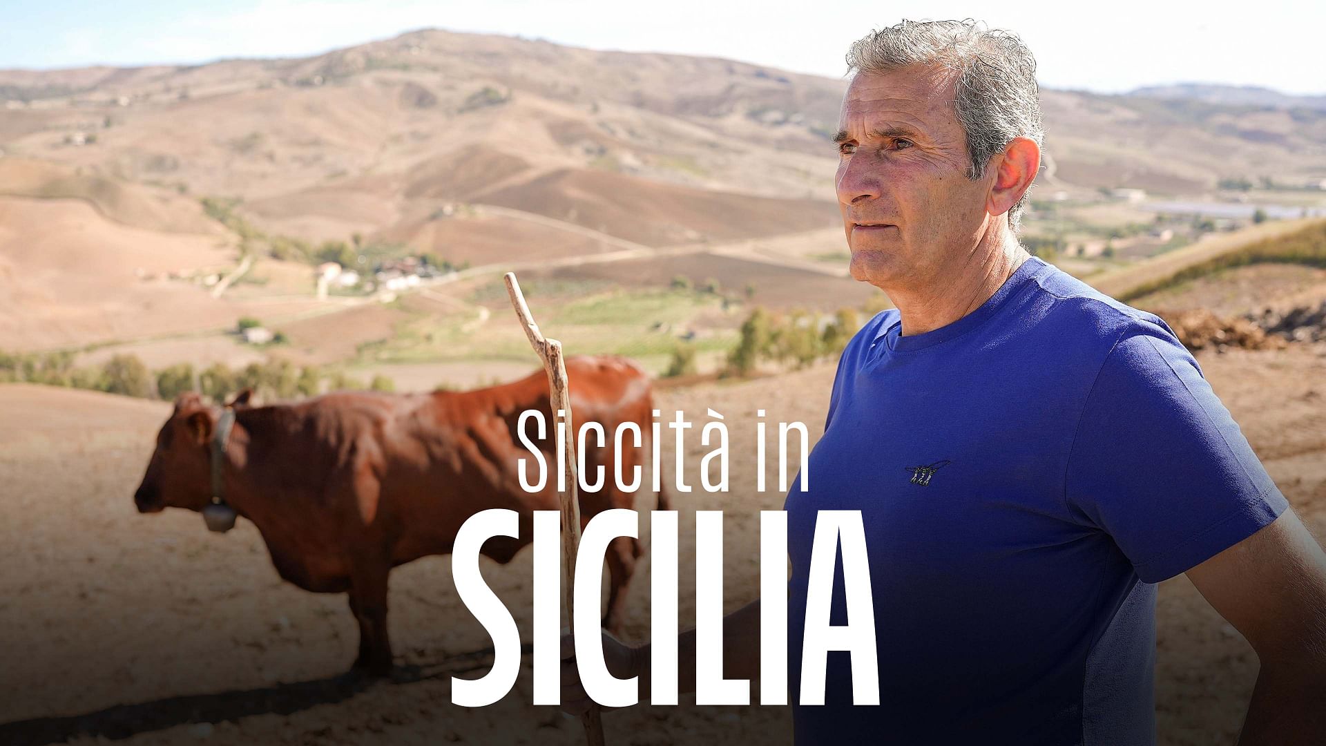Re: sguardi sulla società - La Sicilia e lo stress idrico