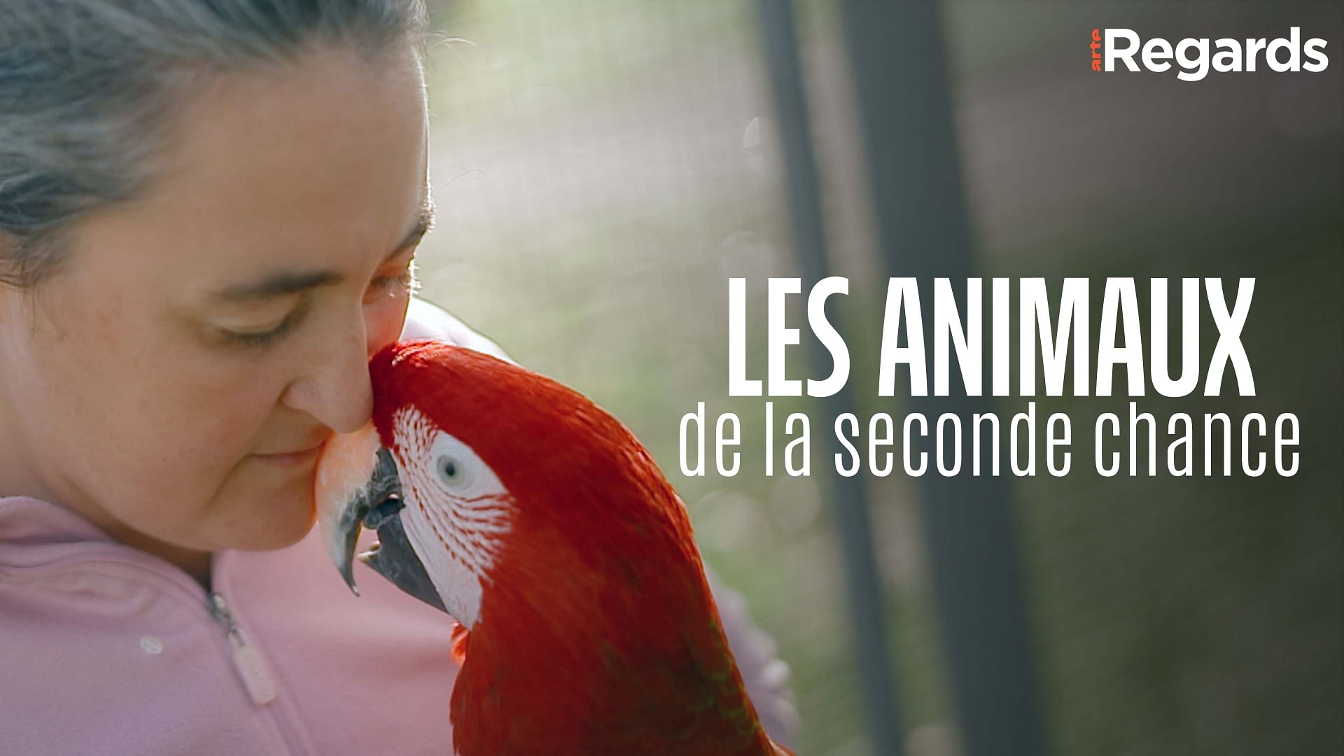 ARTE Regards - Les animaux de la seconde chance