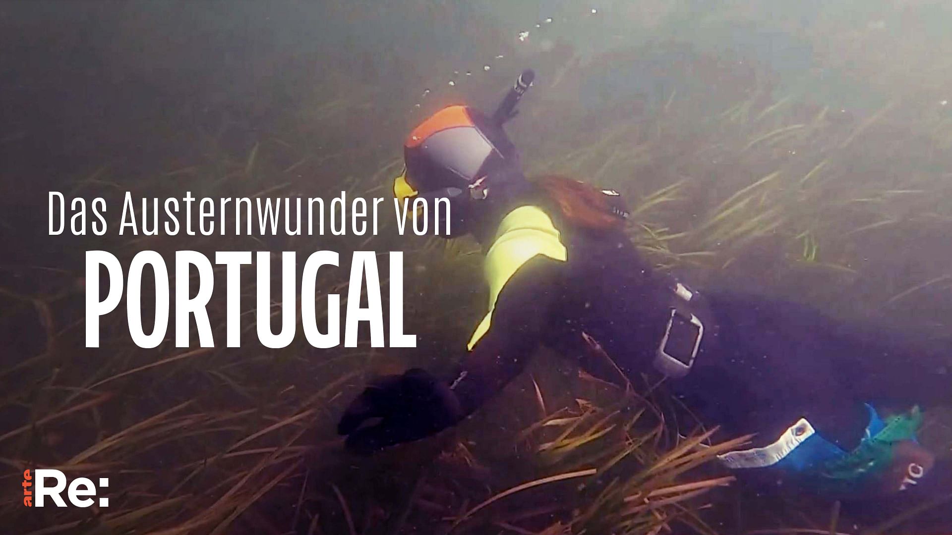 Re: Das Austernwunder von Portugal