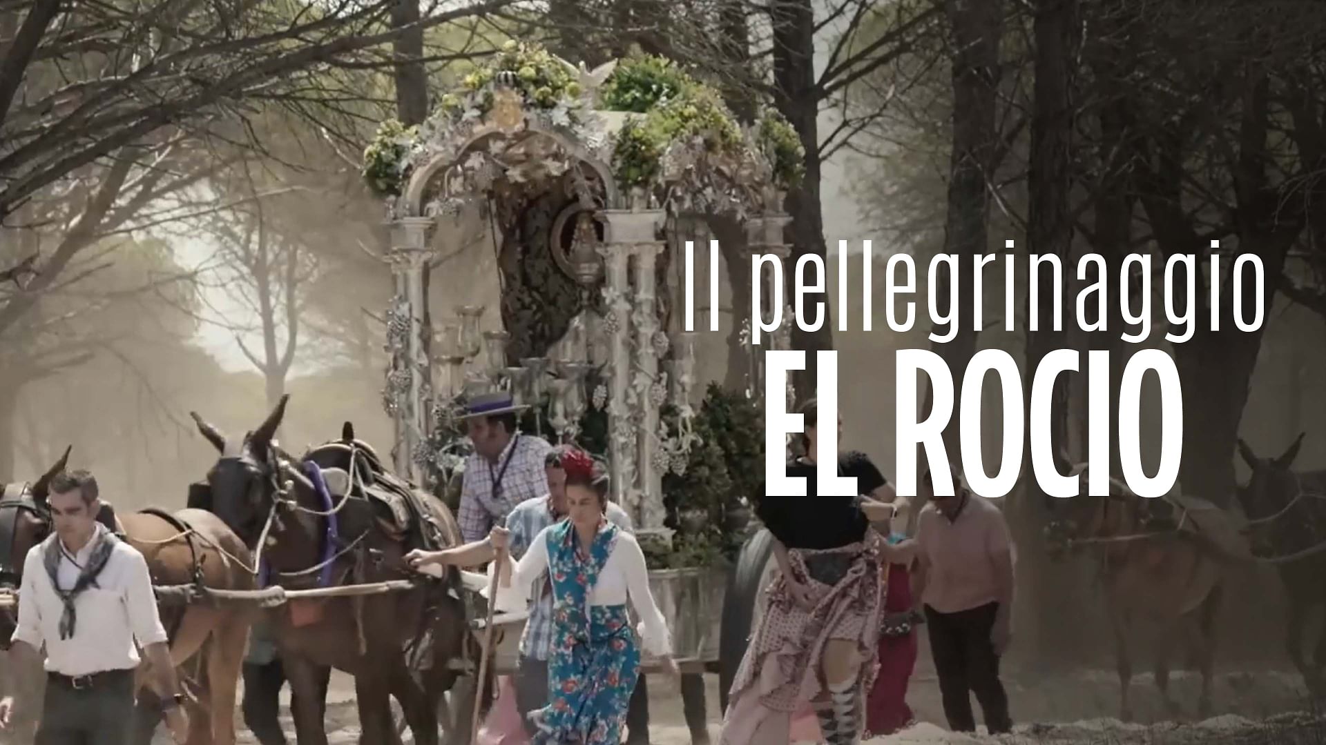 Re: sguardi sulla società - El Rocío, un pellegrinaggio andaluso