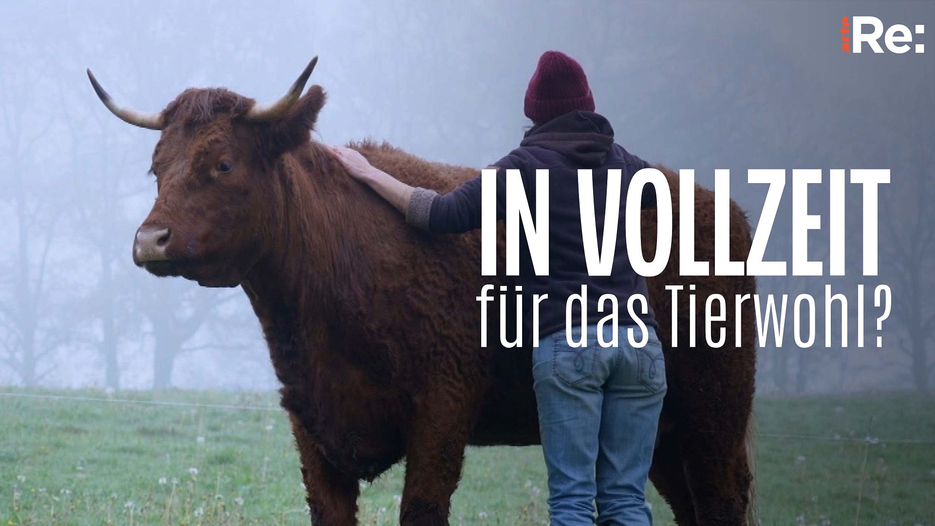 Re: Tiere im Fokus - In Vollzeit für das Tierwohl?