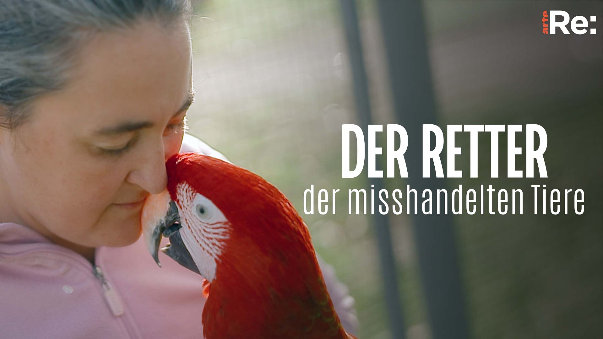 Re: Der Retter der misshandelten Tiere