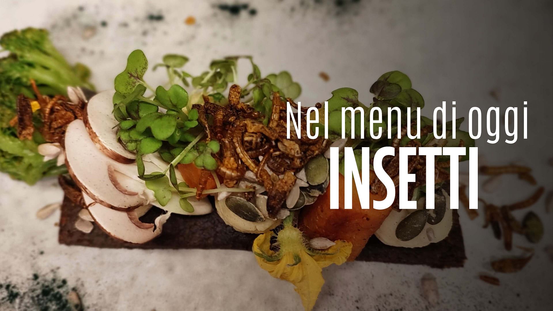 Re: sguardi sulla società - Insetti a tavola: la "nouvelle cuisine"
