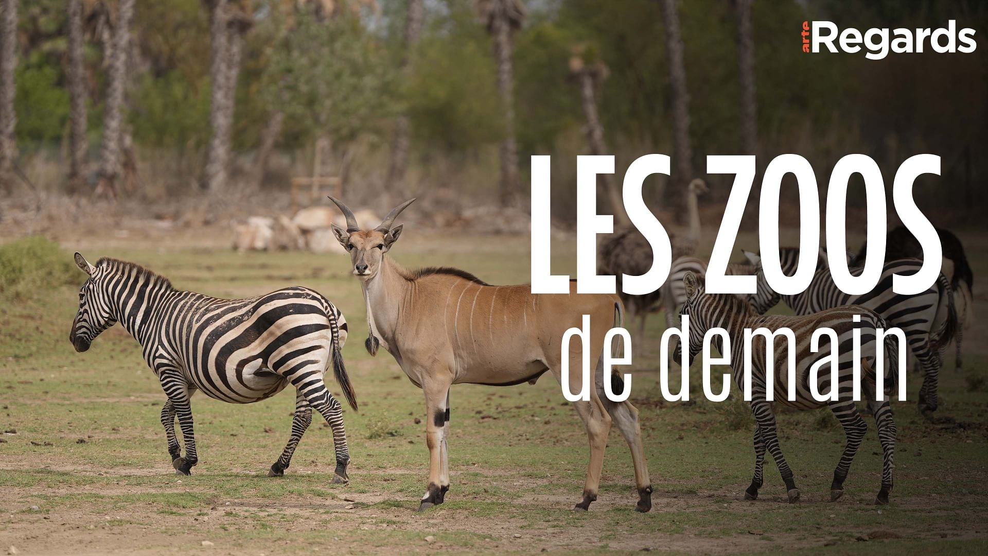 ARTE Regards - Zoos : place aux écosystèmes