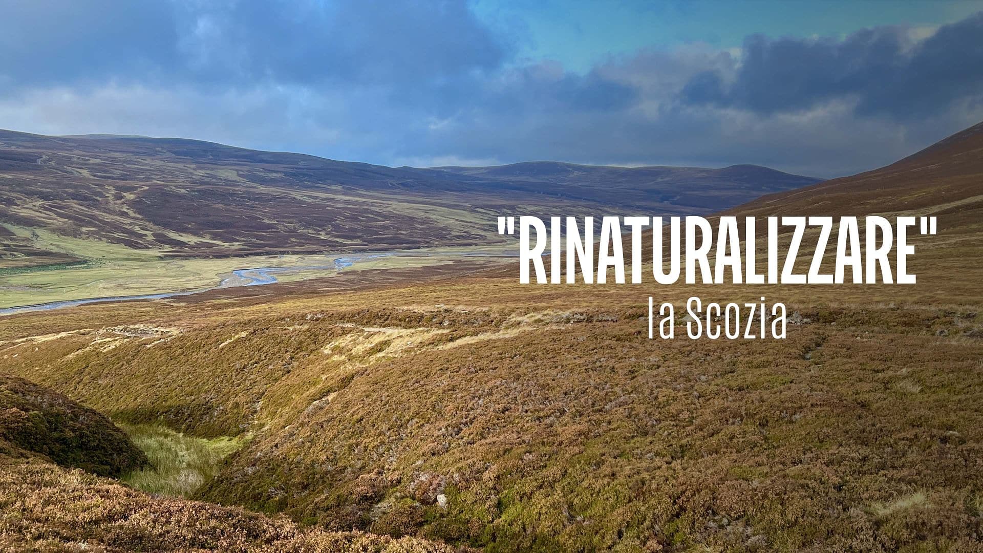 Re: sguardi sulla società - Scozia: "rinaturalizzare" le Highlands