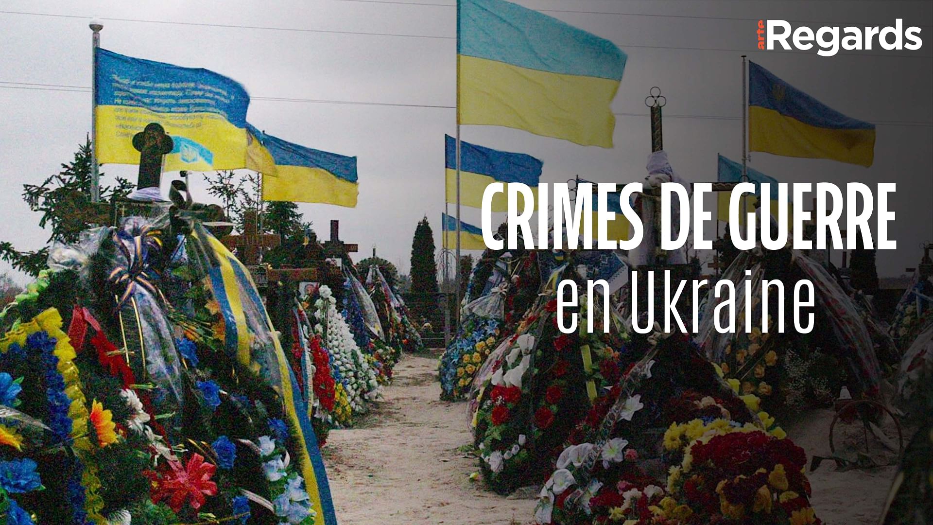 ARTE Regards - Crimes de guerre en Ukraine : collecter les preuves