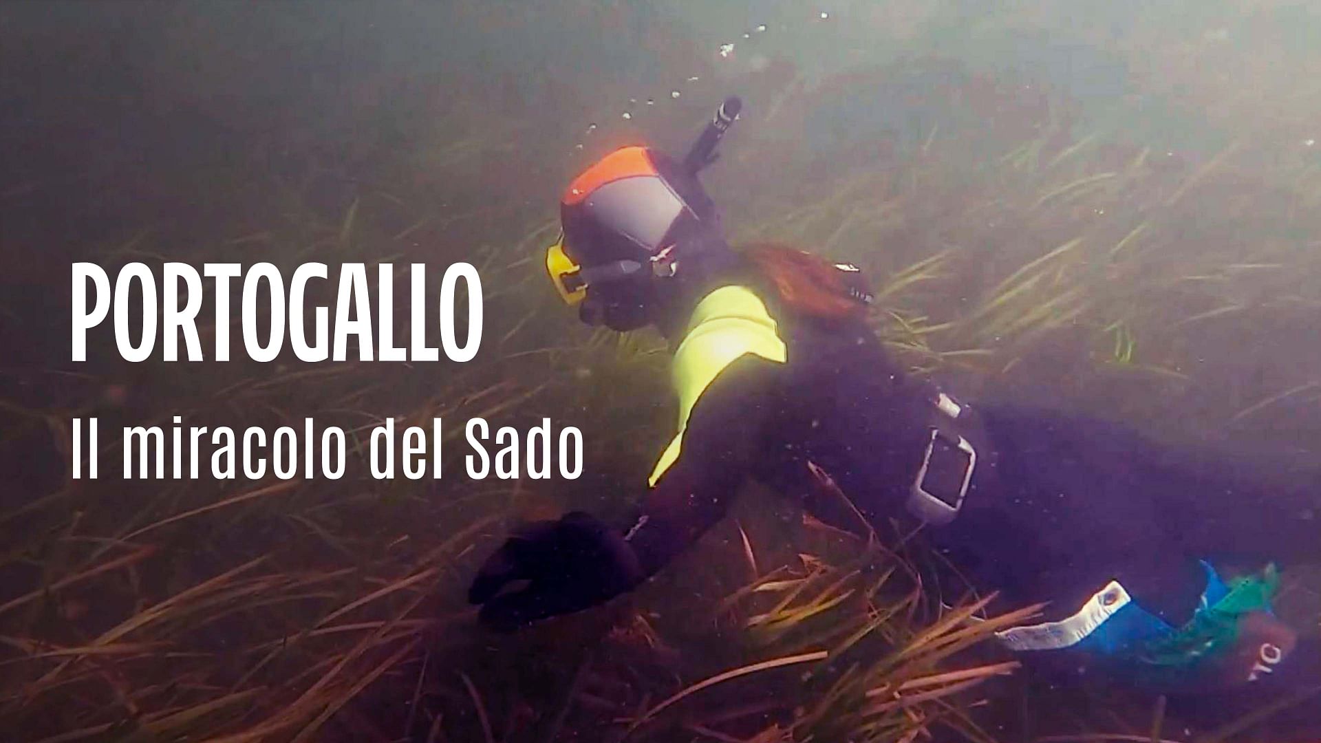 Re: sguardi sulla società - Portogallo: il miracolo del Sado