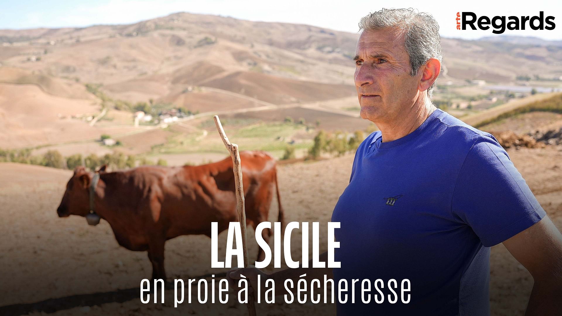 ARTE Regards - La Sicile en proie à la sécheresse
