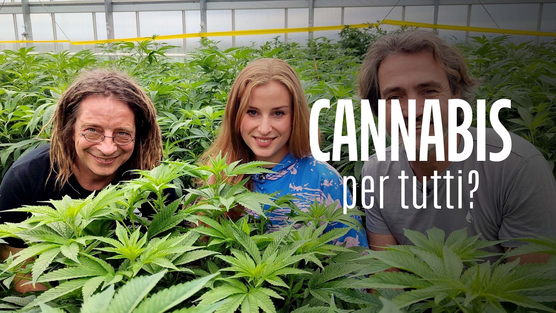 Re: sguardi sulla società - Cannabis per tutti?