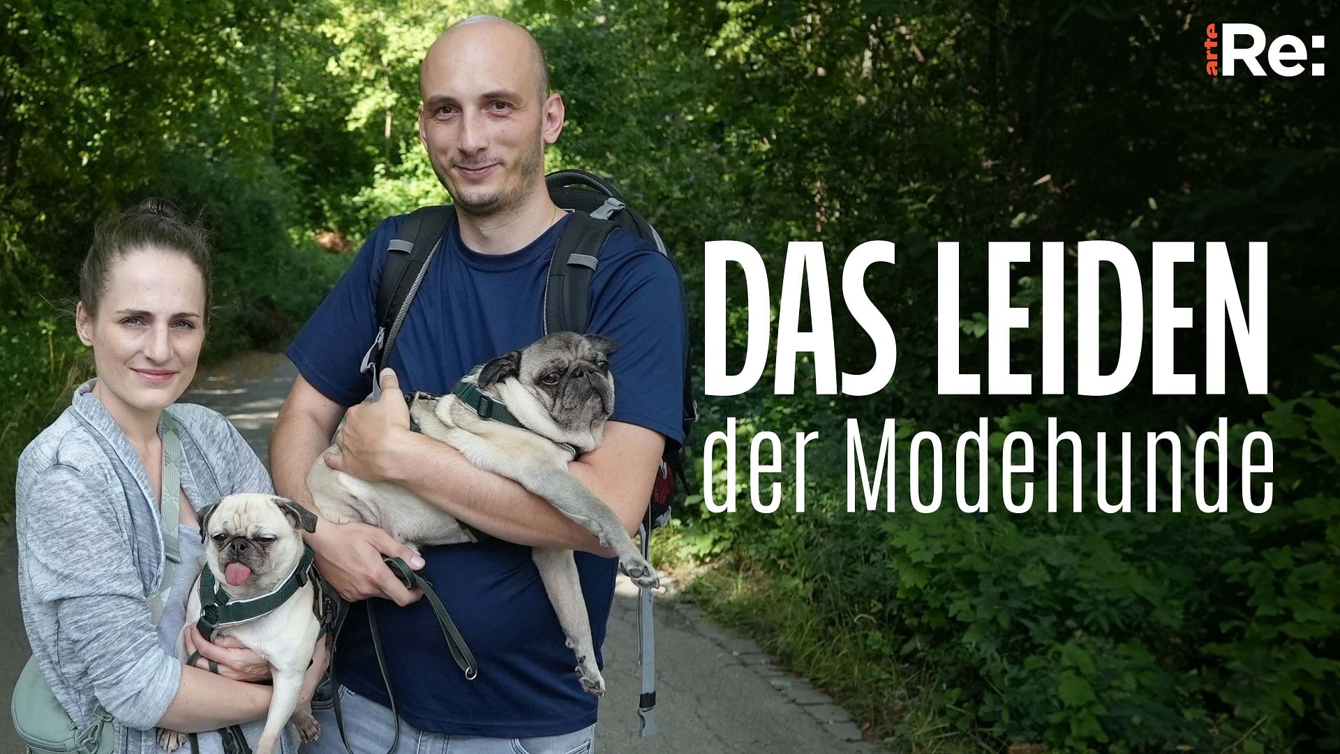 Re: Das Leiden der Modehunde - Niedlich, aber krankgezüchtet?