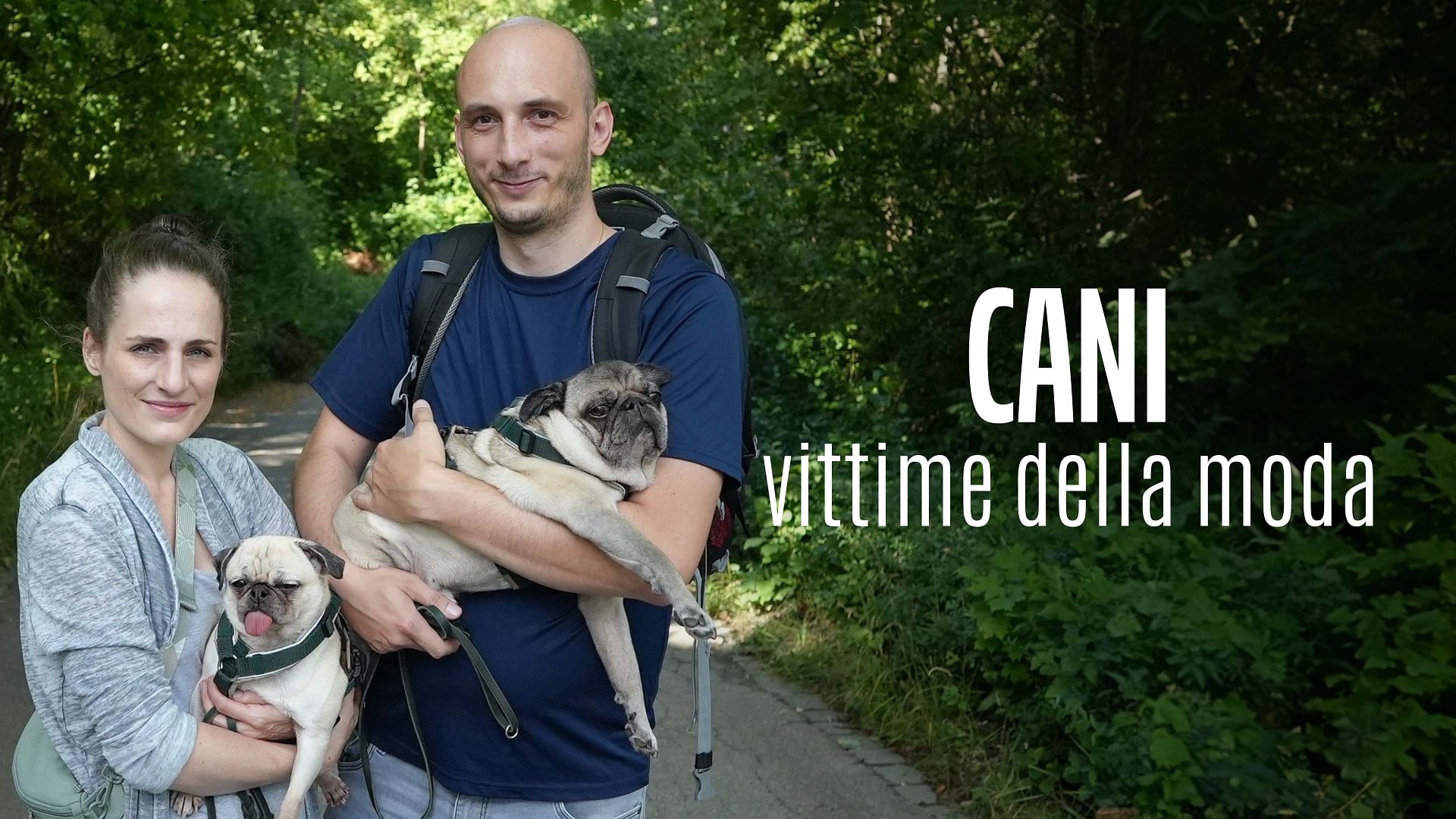 Re: sguardi sulla società - Vita da cani (per colpa degli umani)